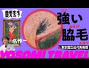 【重要文化財】萬鉄五郎《裸体美人》の見どころ解説（←腋毛だけじゃない!!）