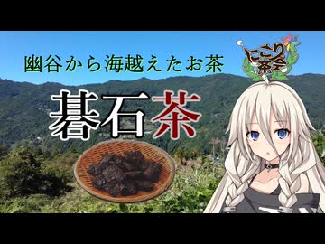 【にこり茶会】幽谷から海越えたお茶・碁石茶【リアル登山アタック】