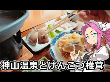 めたん紀行　＃２４　神山温泉とげんこつ椎茸！【VOICEROID車載】