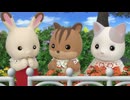 シルバニアファミリー フレアのカラフル・エブリデイ　第3話　こっそり隊、ゆうえんちを走る！