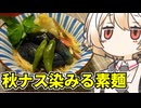 秋ナスで素麺【ナースロボ】