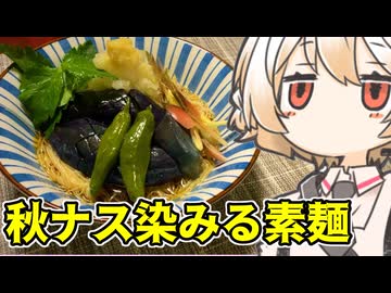 秋ナスで素麺【ナースロボ】