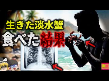 【2022】『こいつ！許さん！』→娘を傷つけたカニに対しキレた父。怒りに任せバリバリとカニを噛み砕き飲み込んだ結果、体が寄生虫だらけに…『ウェステルマン肺吸虫事故』を解説（ﾘﾒｲｸ
