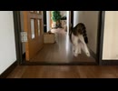 朝活