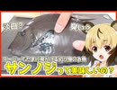 おつかれごはん#255「サンノジを食べよう！（お刺身と唐揚げ）」