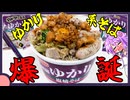 ふりかけのゆかりコラボ製品を使って作る『ゆかり系そば』爆誕【料理/VOICEROID】