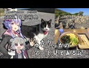 【離島旅行祭2026】2026.10 佐柳島【ゆかりっかのアート見てある記】