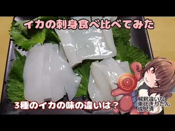 きりたんの酒肴禄　3種のイカの刺身
