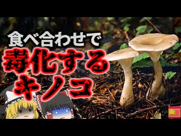 【1990】『絶対に一緒に食べてはいけない』秋の味覚である「きのこ」にハマっていた男性。自分で採取した美味しいキノコを楽しんだ直後、眩暈・嘔吐・意識不明の重体に…『ホテイシメジ中毒事件』を解説