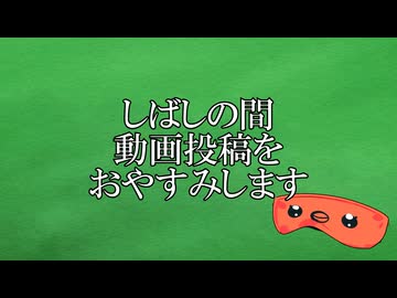 近況と今後の活動について