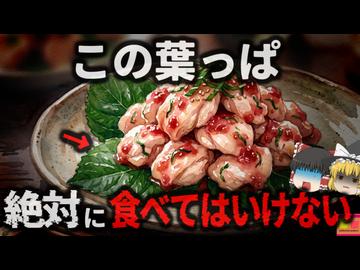 【2008】『和食の添え物で中毒』創作料理屋の料理を食べた人々が次々に嘔吐…大葉だと思っていた添え物がまさかの毒草？原因不明の未知の毒素とは『紫陽花中毒事件』を解説（ﾘﾒｲｸ