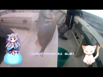 イタコのへっぽこ釣日記　１分釣り動画投稿祭2026　船釣り