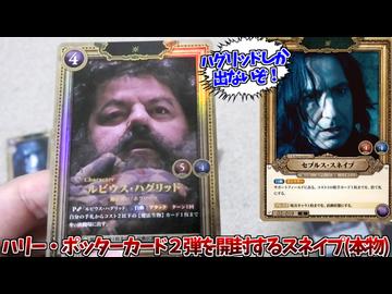 自分のカードが欲しいのに、ハグリッドばかり当たりブチギレるスネイプ先生のハリーポッターカード第２弾開封