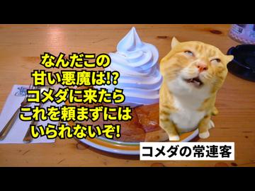 【コメダ珈琲】客が3時間居座っても儲かる!? 回転率を捨てて利益率2倍を叩き出す「集客と利益のカラクリ」 #猫マニ #猫ミーム