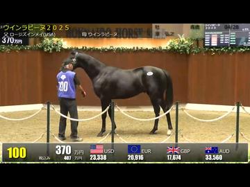 【2026北海道オータムセール】1日目 上場番号51～100
