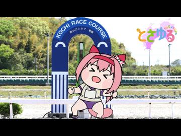当時の高知レース場
