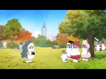 mofusand animation　第43話　写真を撮りたい