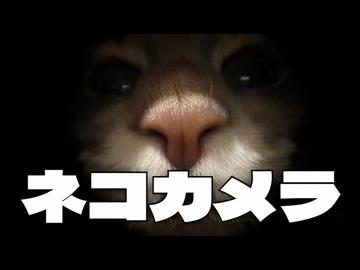 ネコカメラを3Dプリンタで作ってみた。