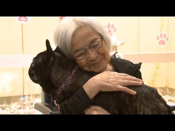 「人にはできない力がある」言葉が出にくい子ども、認知症の高齢者・・・セラピー犬が開く、心の扉