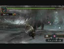 イベントラージャン２頭　ハンマーソロ　後編