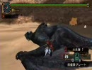 【MHP2G】ヘビィボウガンで武神闘宴（1/2）