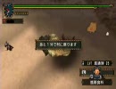 【MHP2G】ヘビィボウガンで武神闘宴（2/2）