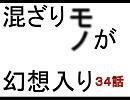 混ざりモノが幻想入り　３４話