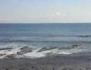 海