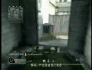 CoD4　フリーフォーオール　羽化をめざして