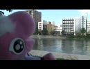 20080920 ぱおちゃんパペットの広島遠征応援っ！