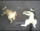 【歌ってみた】恋人/SHAZNA