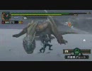 【MHP2G】 雪山DEロック！
