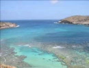 聞くと心が洗われる音　～海・ビーチ編～