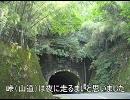 【自転車旅行】地図も持たずに東京→沖縄　２日目（三島～磐田）