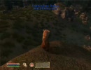 oblivion エンコテスト　遠足　その２