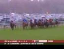 2008 Qatar Prix de l'Arc de Triomphe - Zarkava