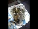 【歌ってみた】ジャスミンの丘/アンジェリーク/ルヴァ（関俊彦）