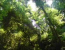 [歌って見た]　Ｇｏｄ　Ｋｎｏｗｓ