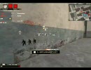 SOWプレイ動画　水路3/3