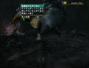 【MHF】ぶつくさ言いながらジェビアさん初遭遇（ＰＴ）　3/3