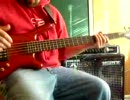 tommy the cat 　【Ｐｒｉｍｕｓ】