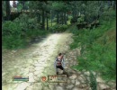 並プレイヤーになりたい私がオブリビオンを実況part22