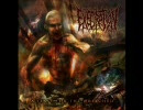 Execration - Full Fist Sodomy