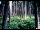 【ひぐらし】you【歌詞】