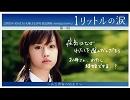 沢尻エリカの1リットルの涙よりの「 3月9日」を歌ってみた（Mafel)