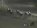 【エーデルワイス賞・スプリント】競馬日報２２【１０月１９日】