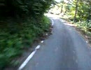 草太林道後半