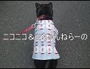 ニコニコ＆２ちゃんねらーの嫌いなものを考えた。