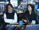 民主党は勝てないよ