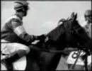 METALの競馬CM１